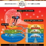東京オリンピックに備えセキュリティ人材育成|サイバーコロッセオ
